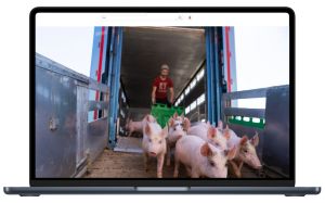 Djurtransporter - en introduktion (e-learning)