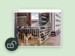 Arbeta säkert med lastväxlare - PDF