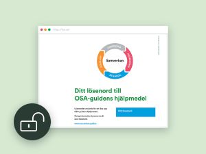 SAM-guiden, Lösenord