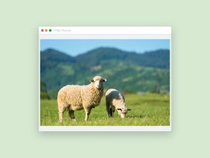 Djurtransporter - en introduktion (e-learning)